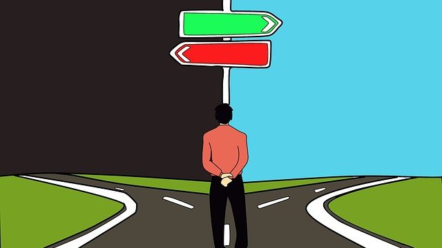 THE CHOICE